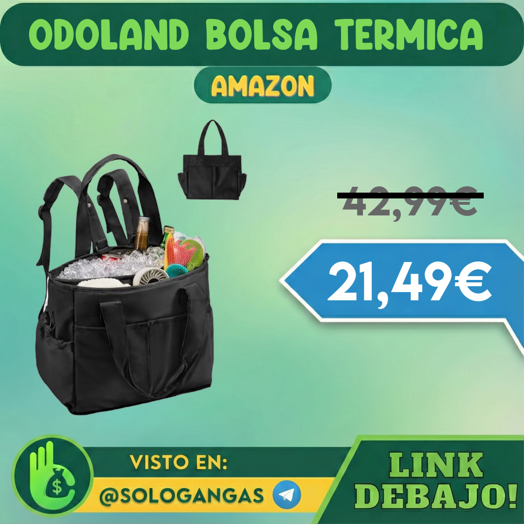 Bolsa Térmica 2 en 1 26L