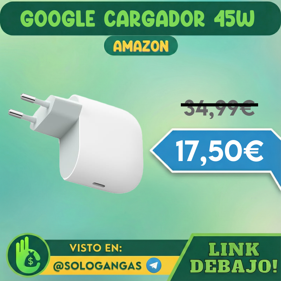 Google Cargador USB-C 45W Nieve
